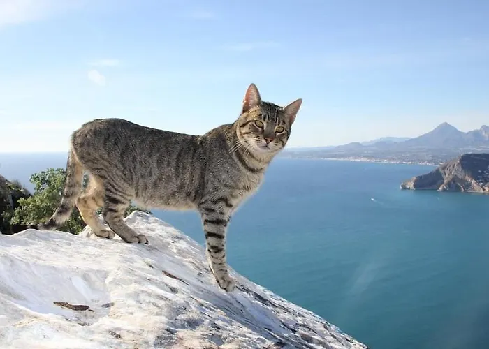 Happy - Plusholidays *